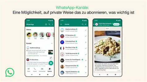 安卓手机装WhatsApp必看：官网下载防坑指南