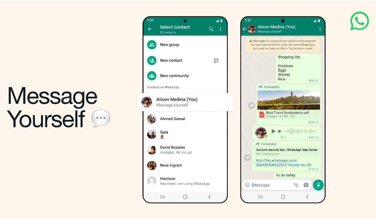 WhatsApp照片总消失？3招实现自动备份不遗漏