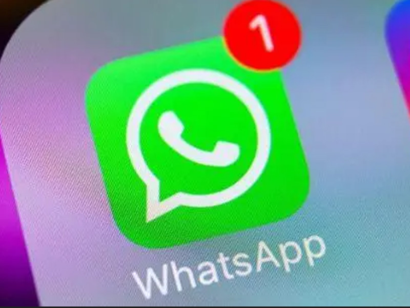 电脑上WhatsApp加人总失败?3个有效方法实测可用